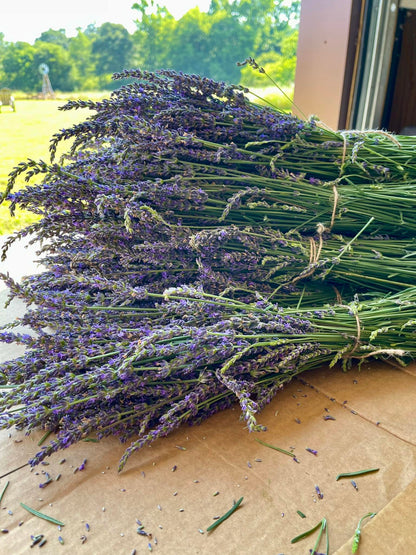 Fresh lavender bundles from the farm